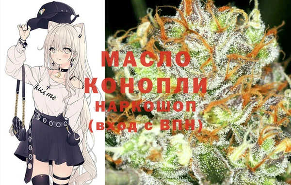 индика Алексин