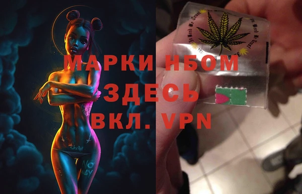 индика Алексин