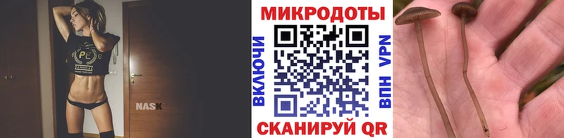 даркнет сайт OMG онион Галлюциногенные грибы Cubensis Андреаполь